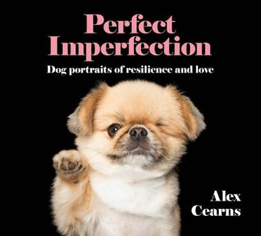 PerfectImperfectionBookCover